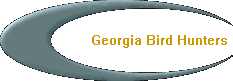Georgia Bird Hunters