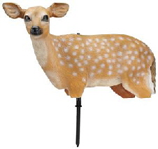 Edge fawn decoy Edge fawn decoy